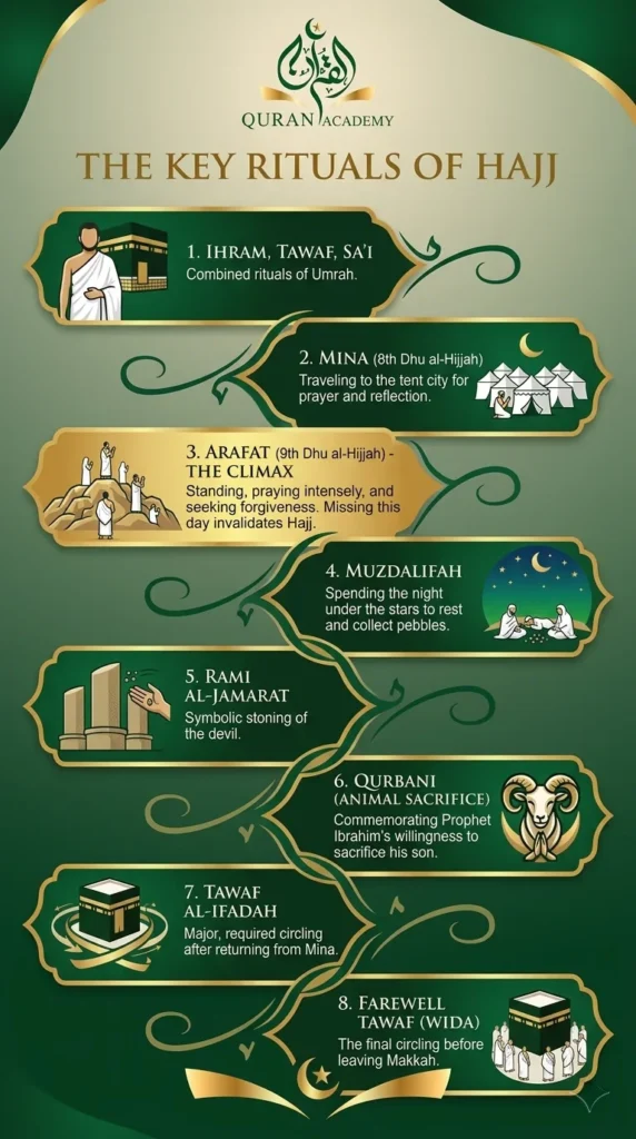 An educational infographic by Quran Academy illustrating the 8 key rituals of Hajj step-by-step, including Ihram, traveling to Mina, standing at Arafat, Muzdalifah, Rami Al-Jamarat, Qurbani, Tawaf Al-Ifadah, and the Farewell Tawaf.